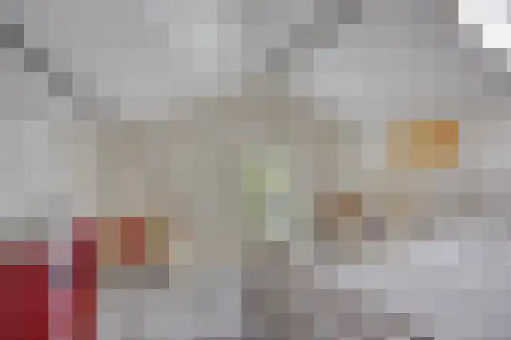 De Vonder 1 Zetten thumbnail 34