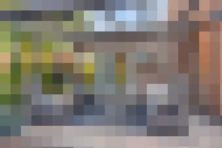 De Vonder 1 Zetten thumbnail 36