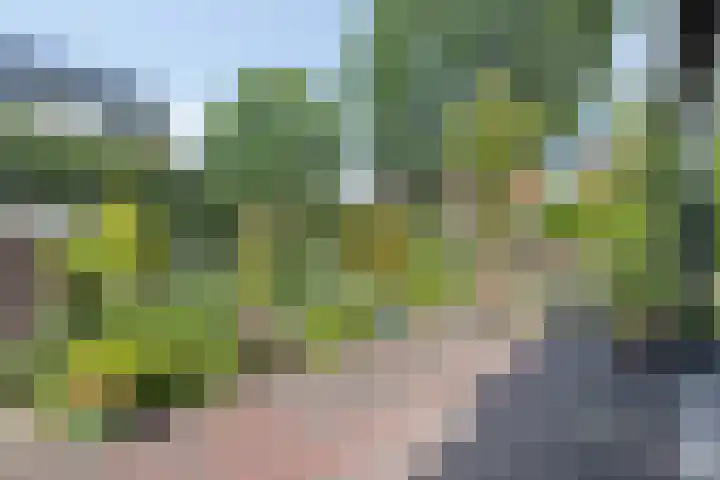 De Vonder 1 Zetten thumbnail 38