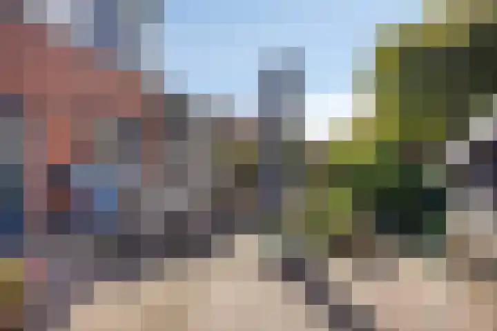 De Vonder 1 Zetten thumbnail 40