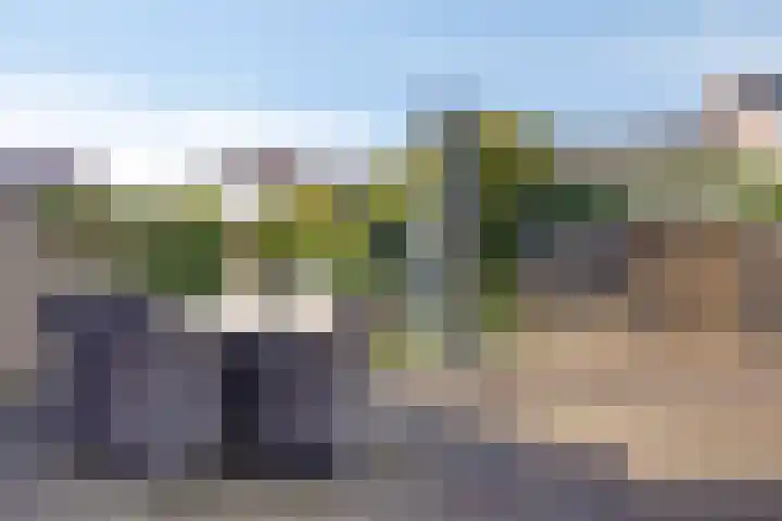 De Vonder 1 Zetten thumbnail 41