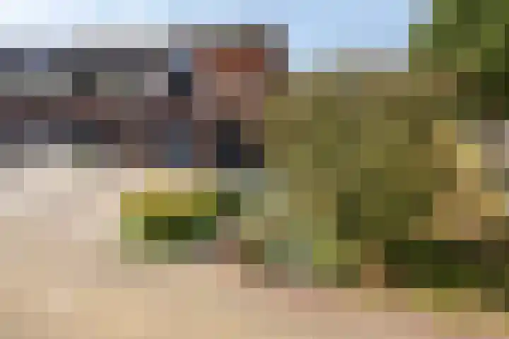 De Vonder 1 Zetten thumbnail 6