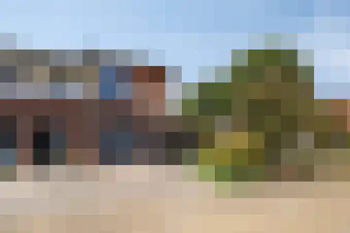 De Vonder 1 Zetten thumbnail 8