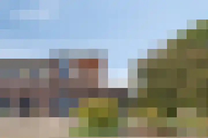 De Vonder 1 Zetten thumbnail 9