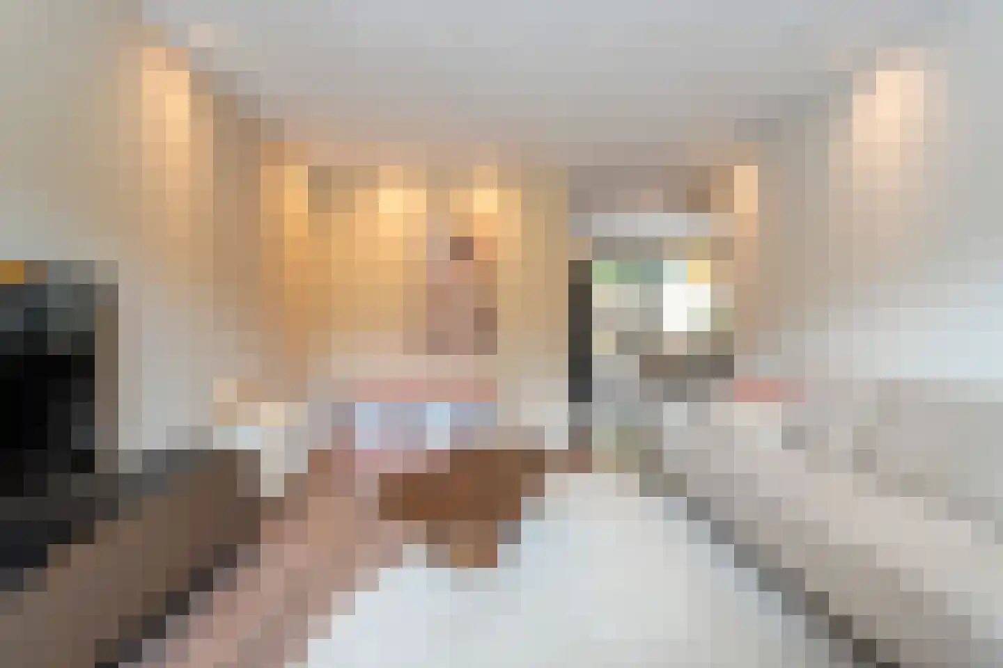De Vonderkampen 23 Beilen thumbnail 15