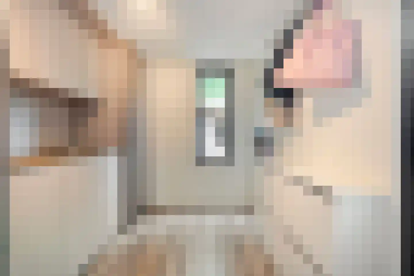 De Vonderkampen 23 Beilen thumbnail 25