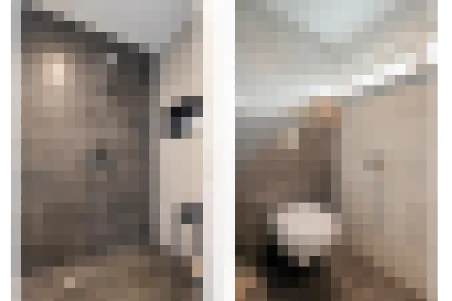 De Vonderkampen 23 Beilen thumbnail 37