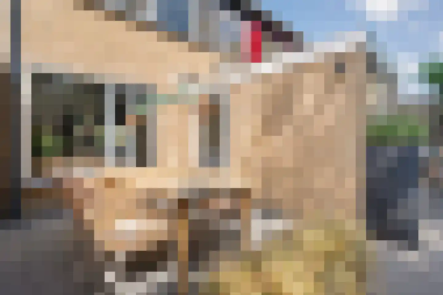 De Vonderkampen 23 Beilen thumbnail 42