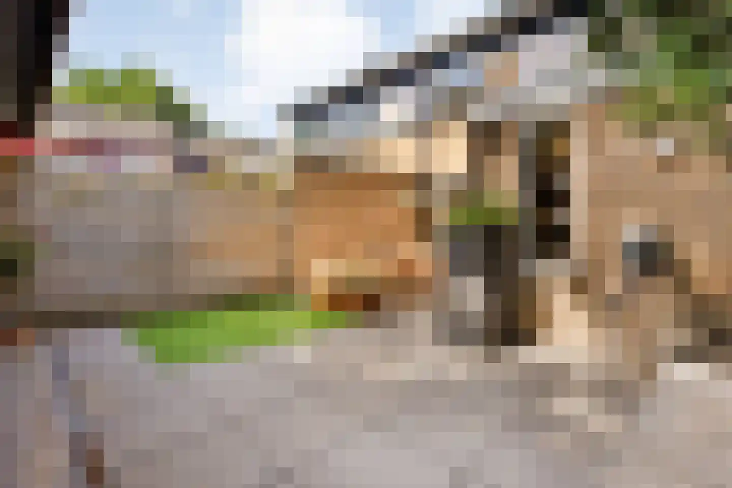 De Vonderkampen 23 Beilen thumbnail 45