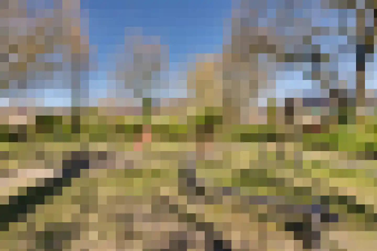 De Vonderkampen 43 Beilen thumbnail 25