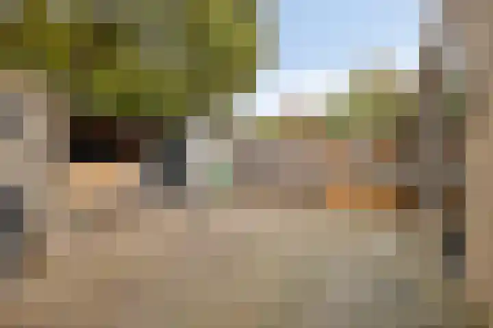 De Vonderkampen 94 Beilen thumbnail 30