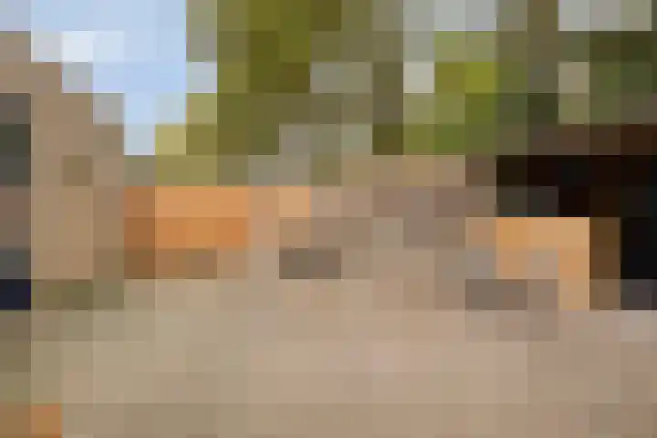 De Vonderkampen 94 Beilen thumbnail 32