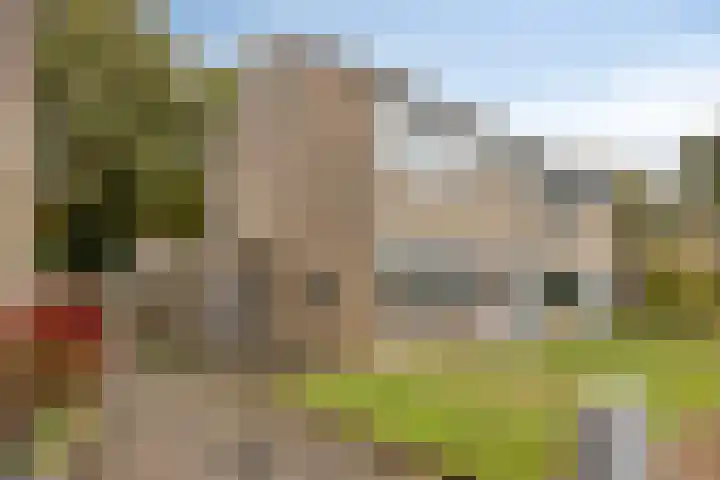 De Vonderkampen 94 Beilen thumbnail 4