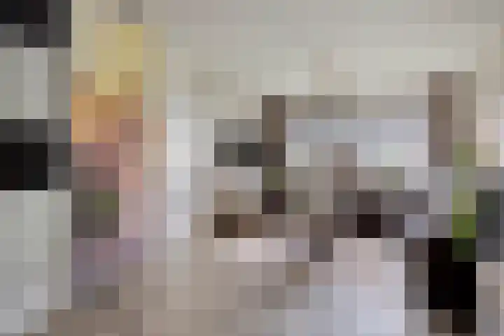 De Vonderkampen 94 Beilen thumbnail 5