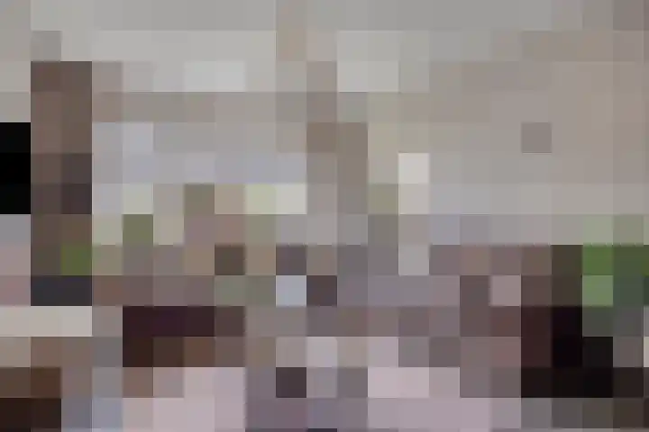 De Vonderkampen 94 Beilen thumbnail 6
