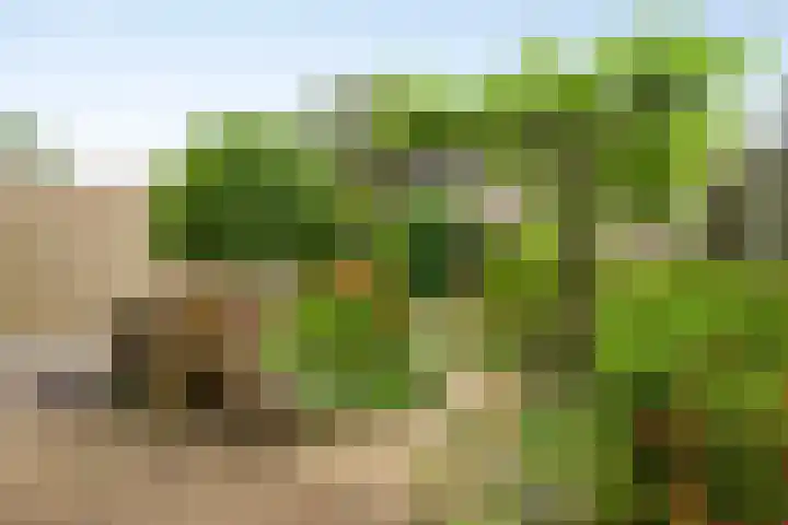 De Vooghtstraat 30 Made thumbnail 27