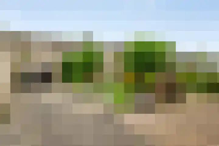 De Vooghtstraat 30 Made thumbnail 28