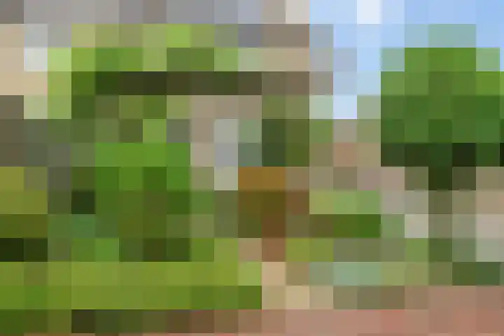 De Vooghtstraat 30 Made thumbnail 30
