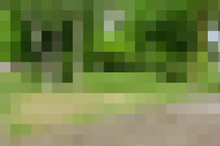De Vooghtstraat 30 Made thumbnail 34