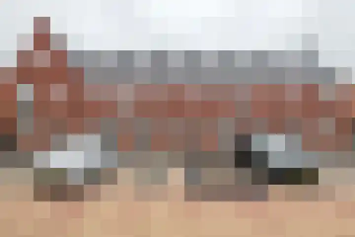 De Voorblazer 21 Leerdam thumbnail 4