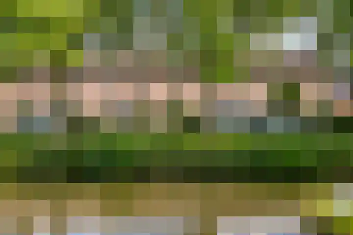 De Voorde 11 Hoogland thumbnail 11