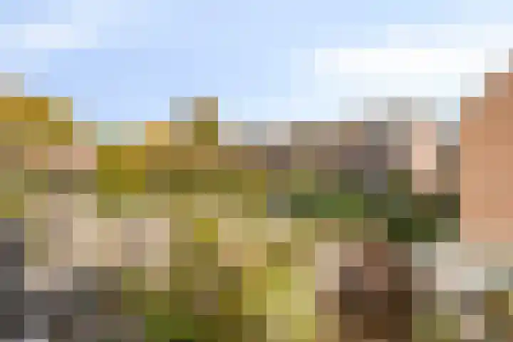 De Voorde 11 Hoogland thumbnail 22