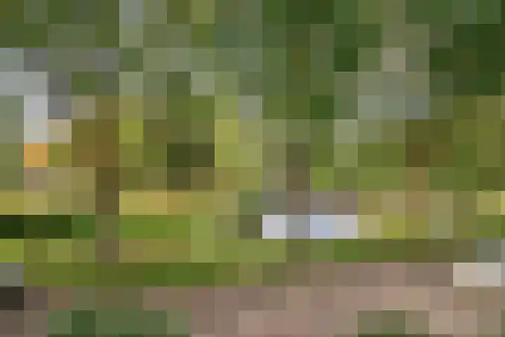 De Voorde 11 Hoogland thumbnail 26