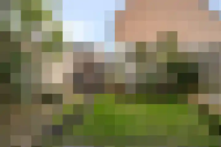 De Voorde 11 Hoogland thumbnail 30