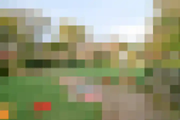 De Voorde 11 Hoogland thumbnail 32