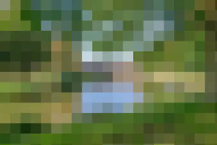 De Voorde 11 Hoogland thumbnail 33