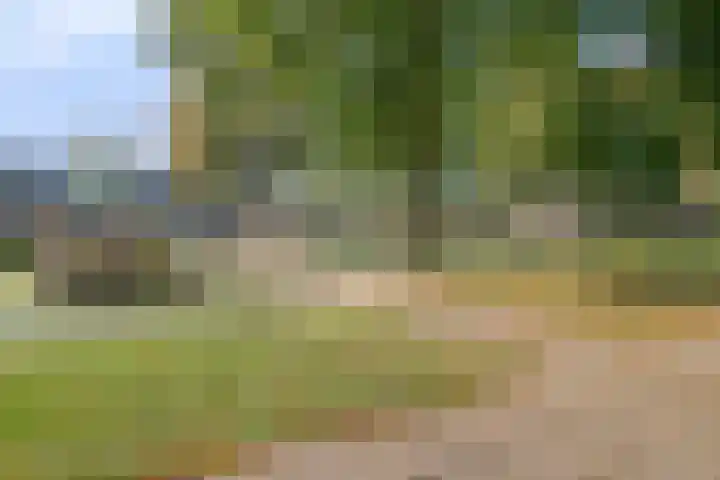 De Voorde 11 Hoogland thumbnail 34