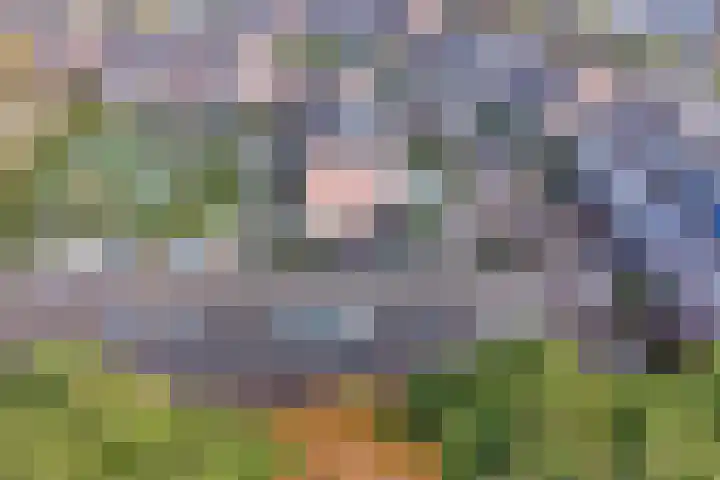De Voorde 11 Hoogland thumbnail 36