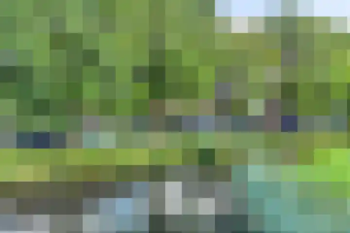 De Voorde 11 Hoogland thumbnail 38
