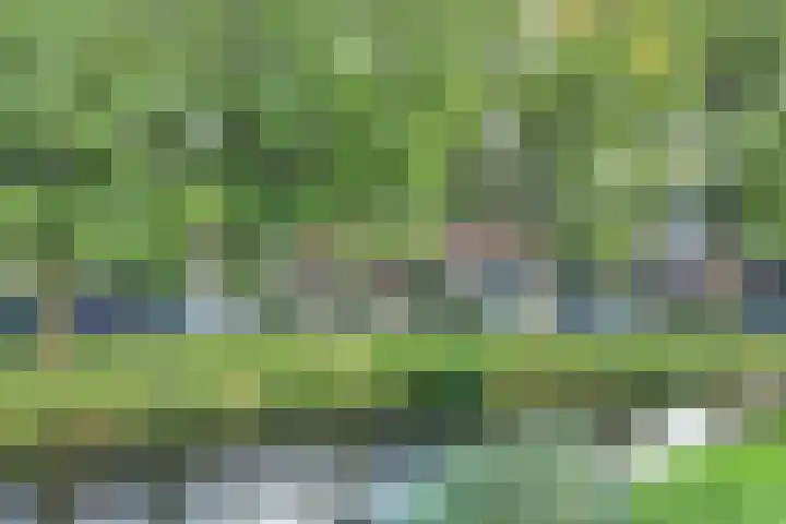 De Voorde 11 Hoogland thumbnail 39