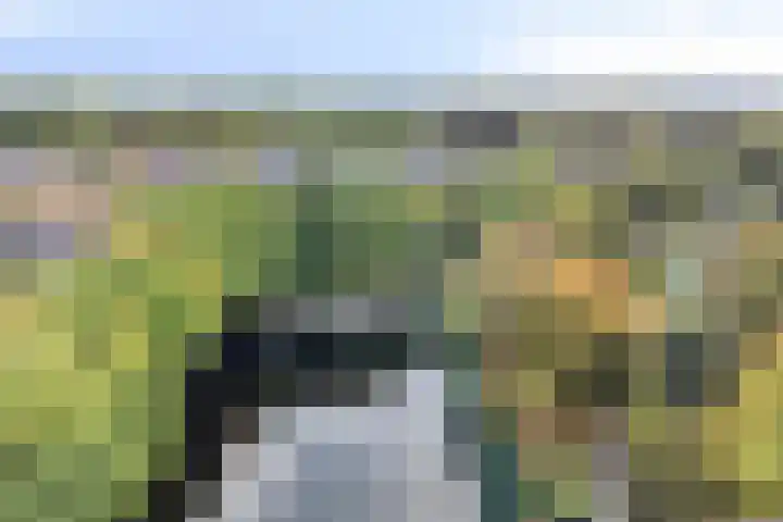 De Voorde 11 Hoogland thumbnail 6