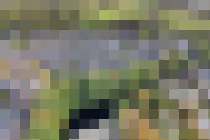 De Voorde 11 Hoogland thumbnail 7