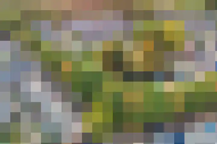 De Voorde 11 Hoogland thumbnail 8