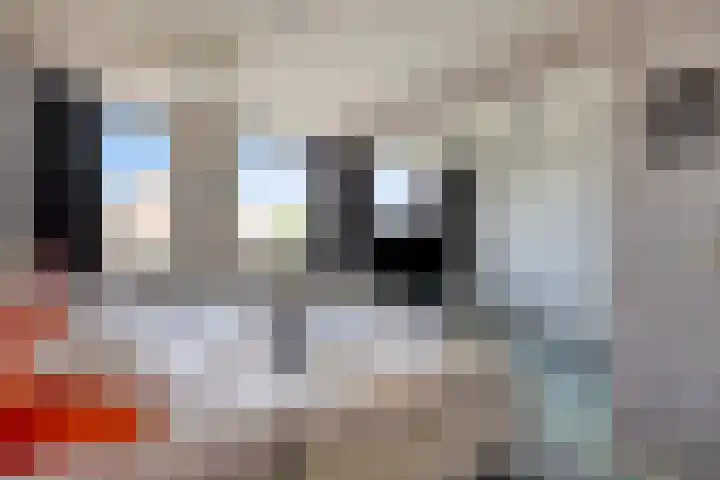 De Voorde 11 Veldhoven thumbnail 14