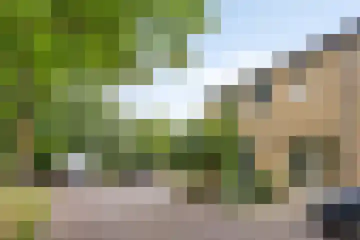 De Voorde 11 Veldhoven thumbnail 20