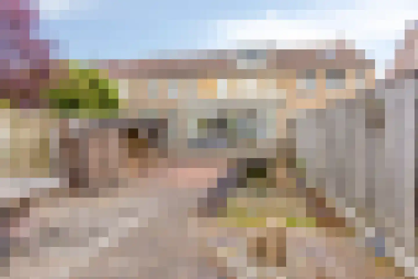 De Voorde 18 Veldhoven thumbnail 19
