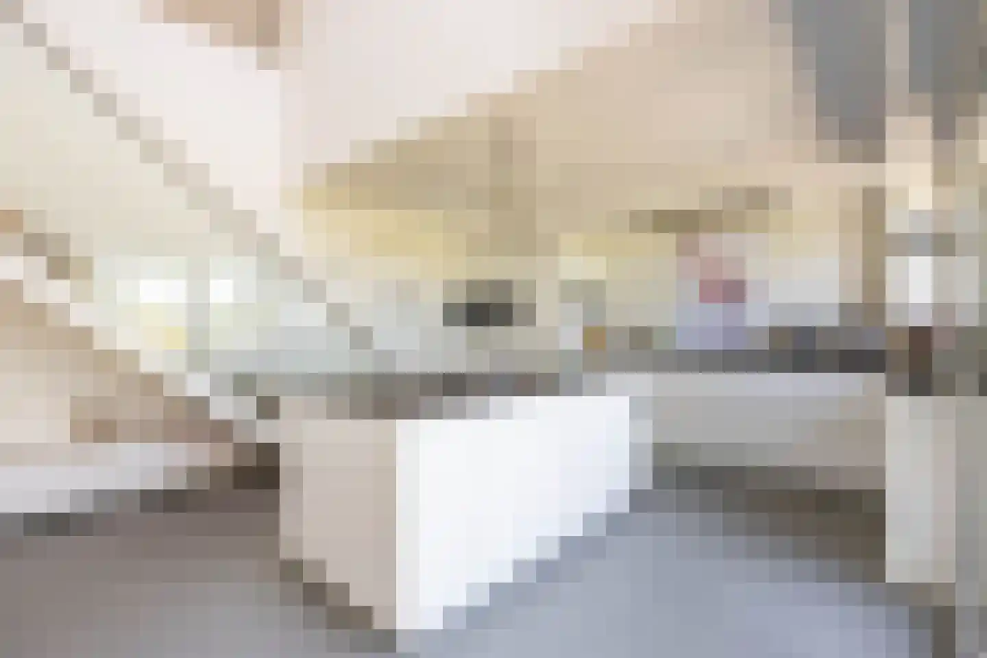 De Voorde 28 De Groeve thumbnail 13