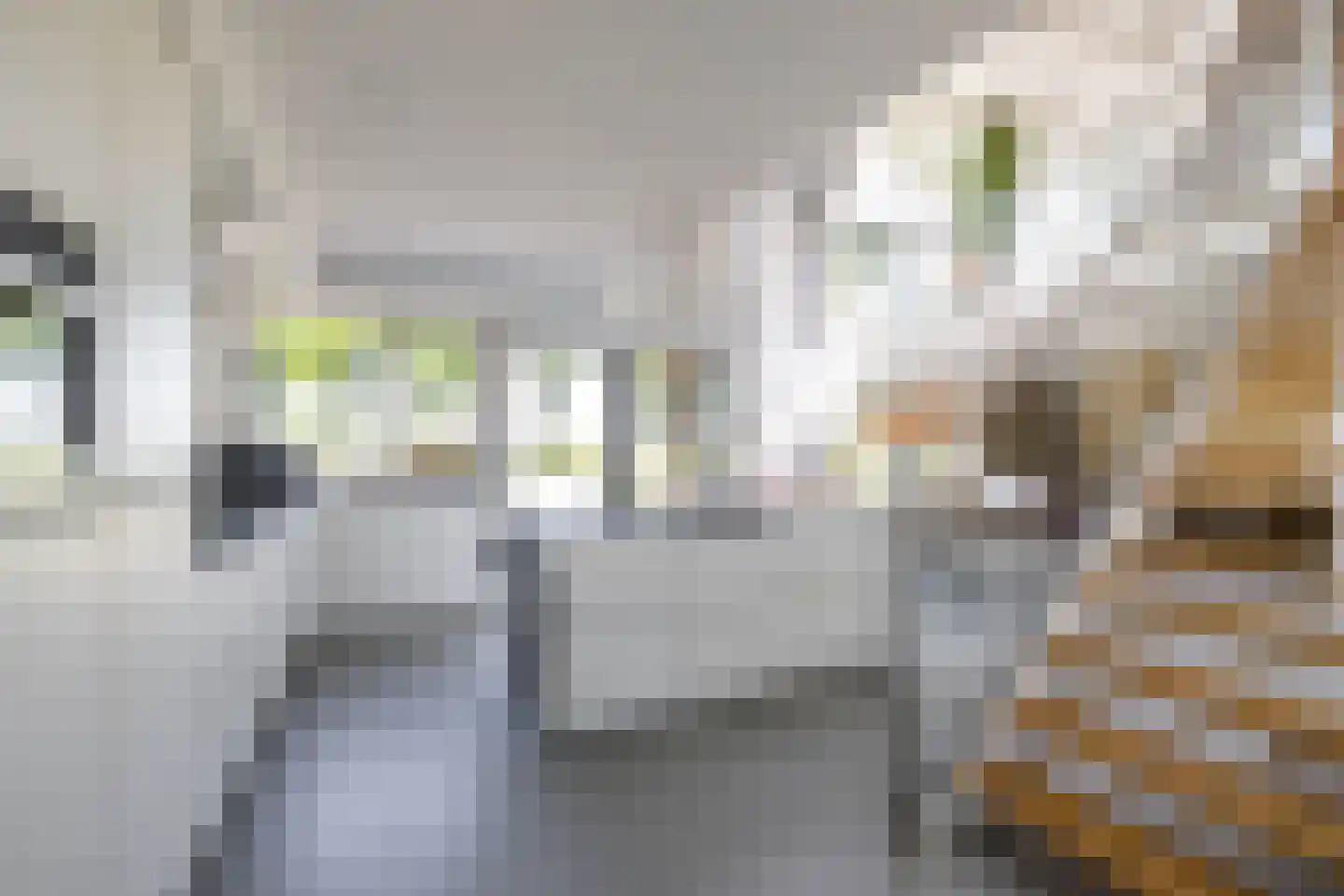 De Voorde 28 De Groeve thumbnail 15