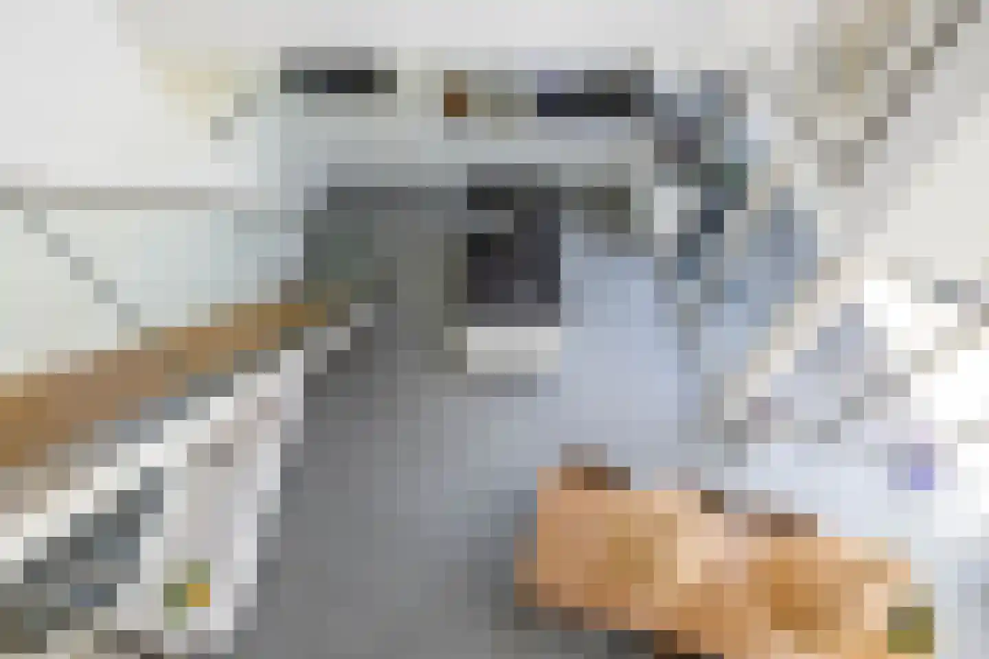 De Voorde 28 De Groeve thumbnail 23