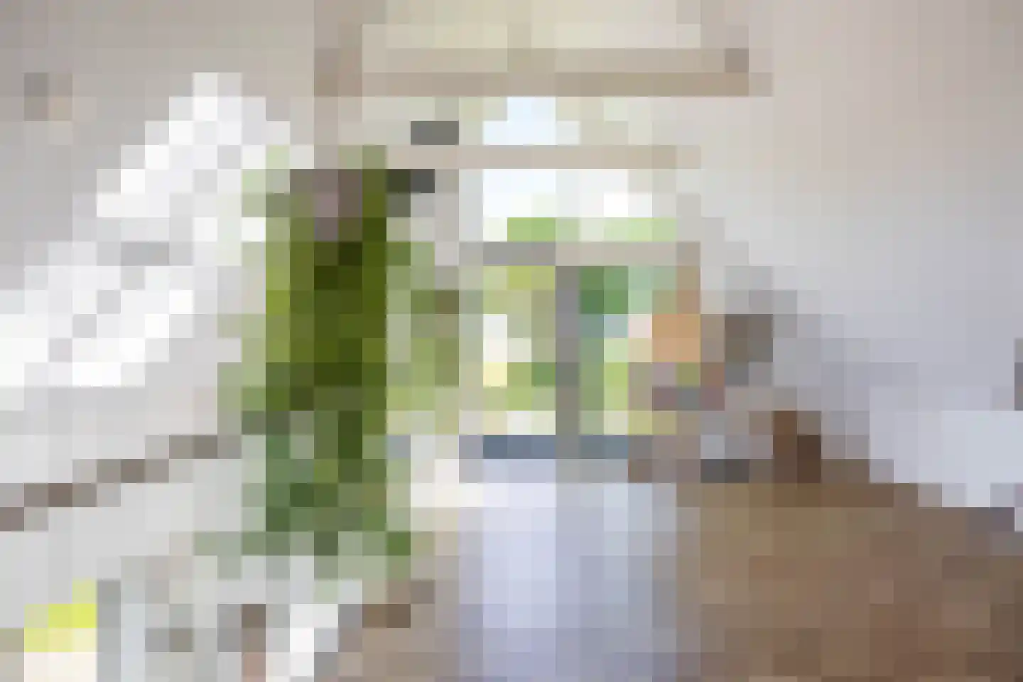 De Voorde 28 De Groeve thumbnail 25