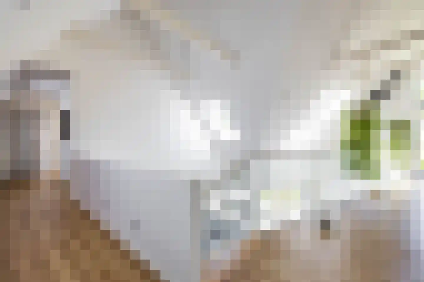 De Voorde 28 De Groeve thumbnail 29