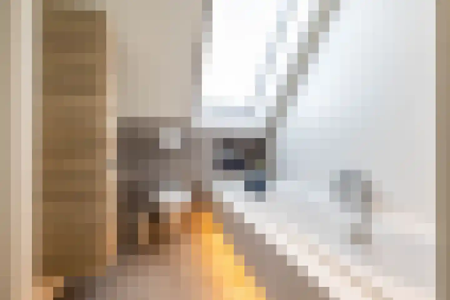 De Voorde 28 De Groeve thumbnail 32