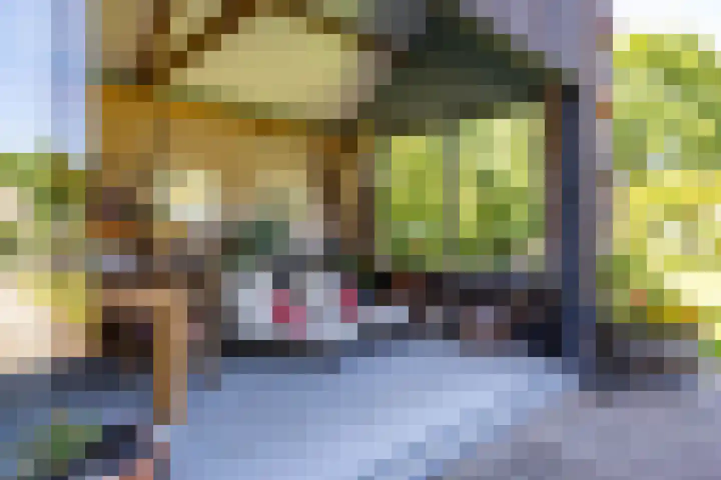 De Voorde 28 De Groeve thumbnail 48