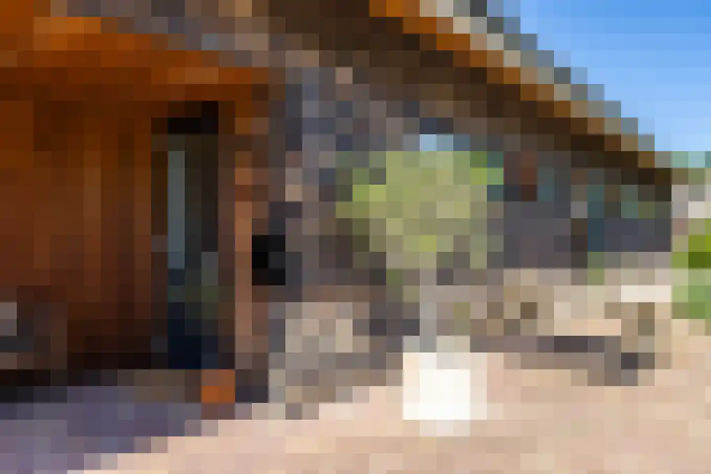 De Voorde 28 De Groeve thumbnail 5
