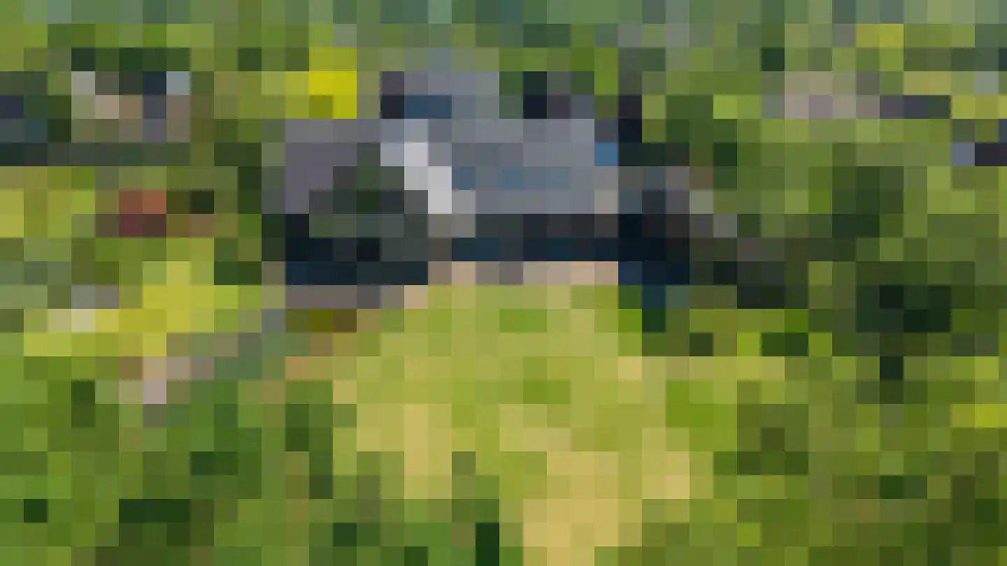 De Voorde 28 De Groeve thumbnail 53