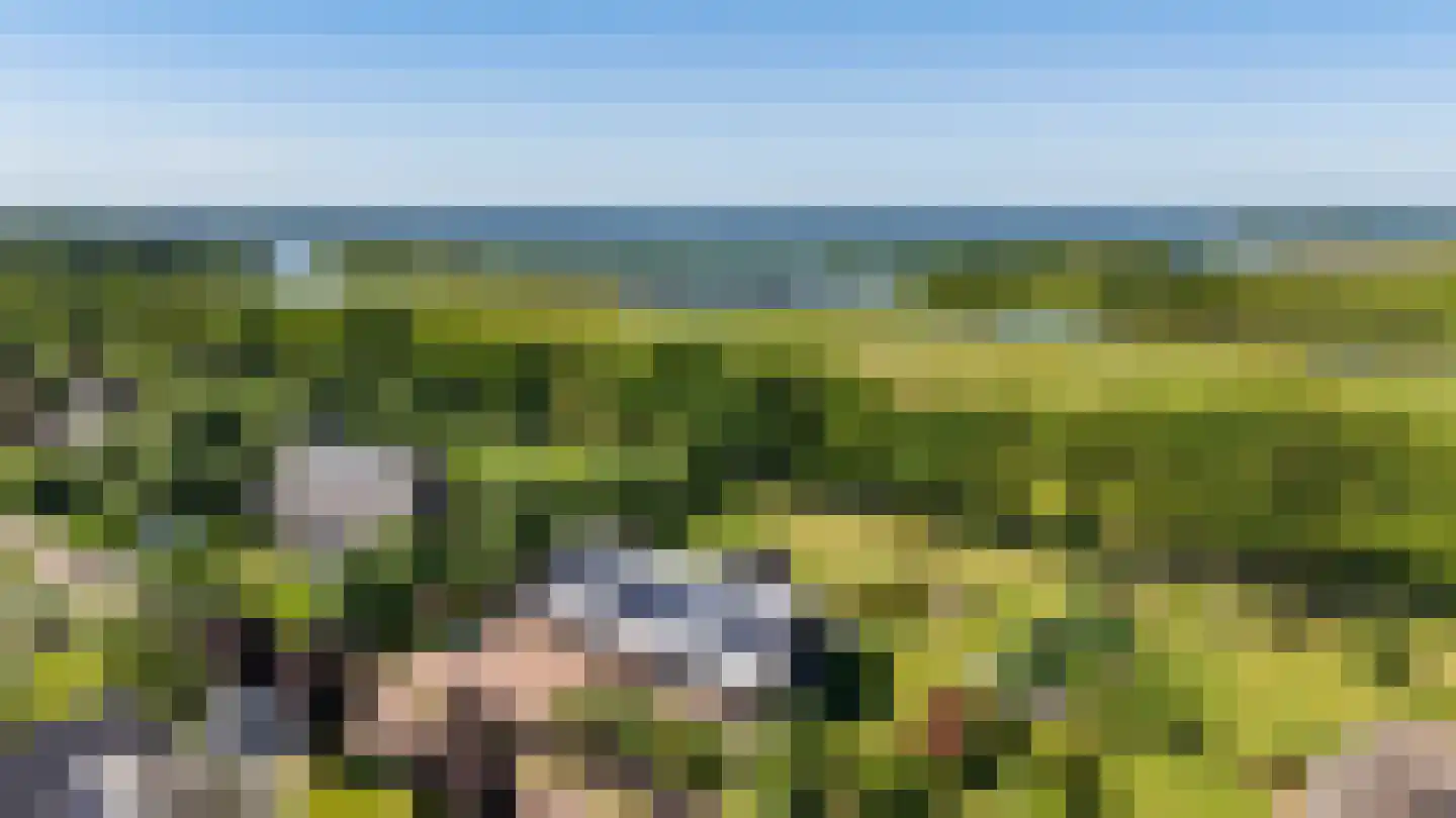 De Voorde 28 De Groeve thumbnail 54